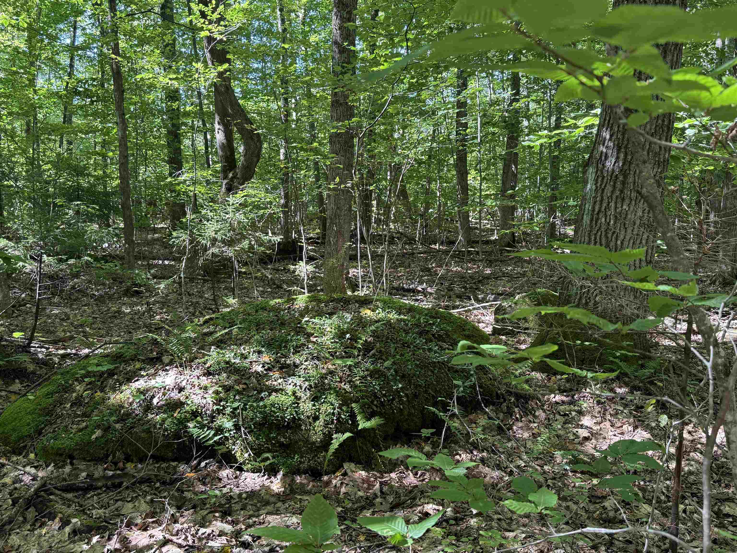 215-221 Highway 30 Dorset, VT 05251 - Photo 41 of 51