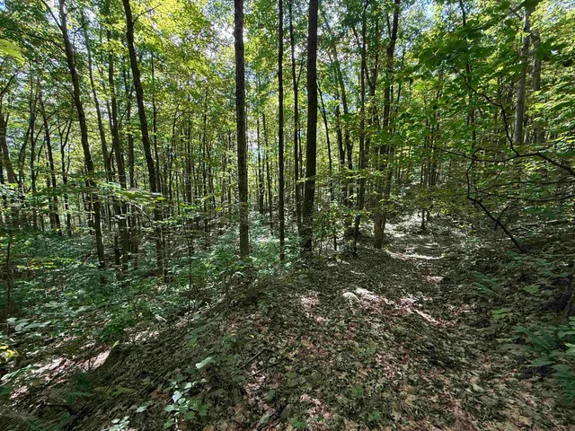 $1,750,000 | 215-221 Highway 30, Dorset, VT 05251