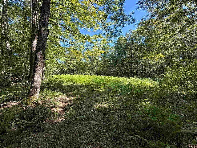 $2,300,000 | 215-221 Highway 30, Dorset, VT 05251