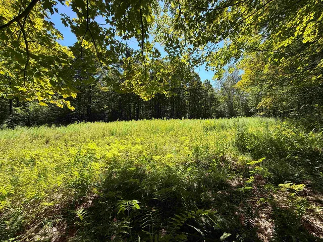 $2,300,000 | 215-221 Highway 30, Dorset, VT 05251