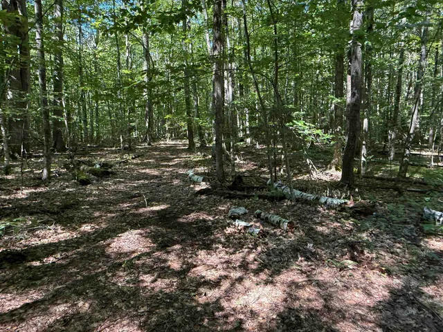 $1,750,000 | 215-221 Highway 30, Dorset, VT 05251