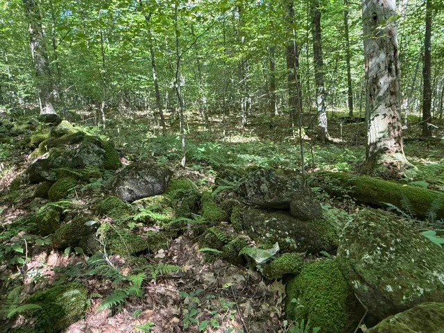 $1,750,000 | 215-221 Highway 30, Dorset, VT 05251