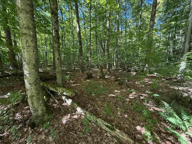 $2,300,000 | 215-221 Highway 30, Dorset, VT 05251