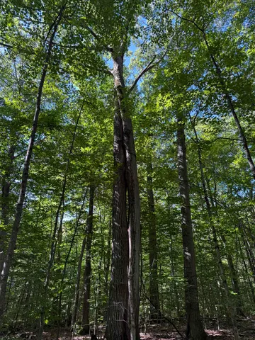 $1,750,000 | 215-221 Highway 30, Dorset, VT 05251