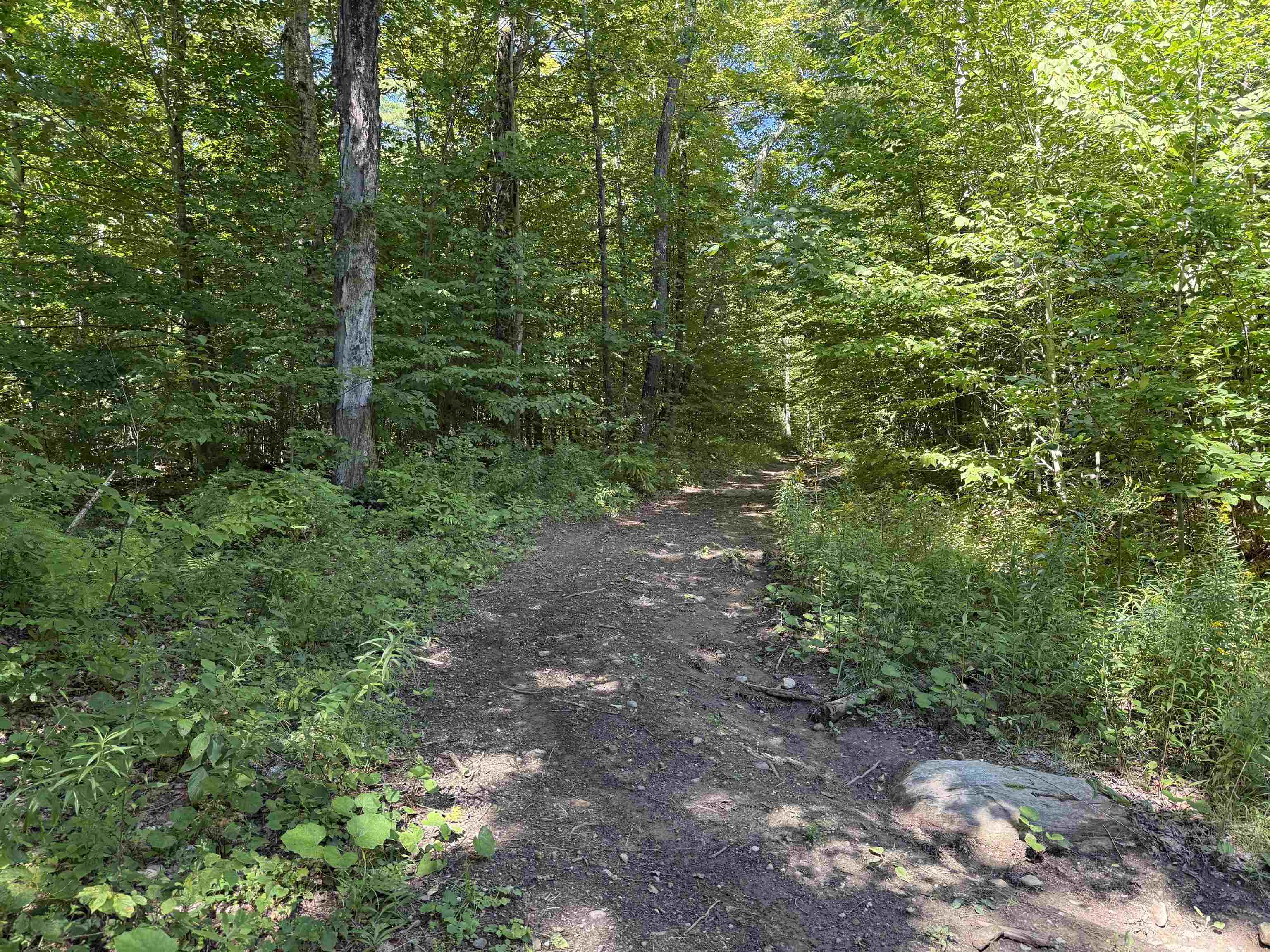 215-221 Highway 30 Dorset, VT 05251 - Photo 47 of 51