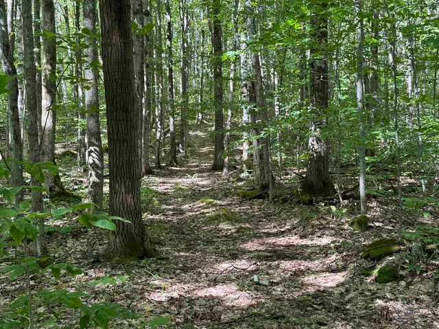 $1,750,000 | 215-221 Highway 30, Dorset, VT 05251