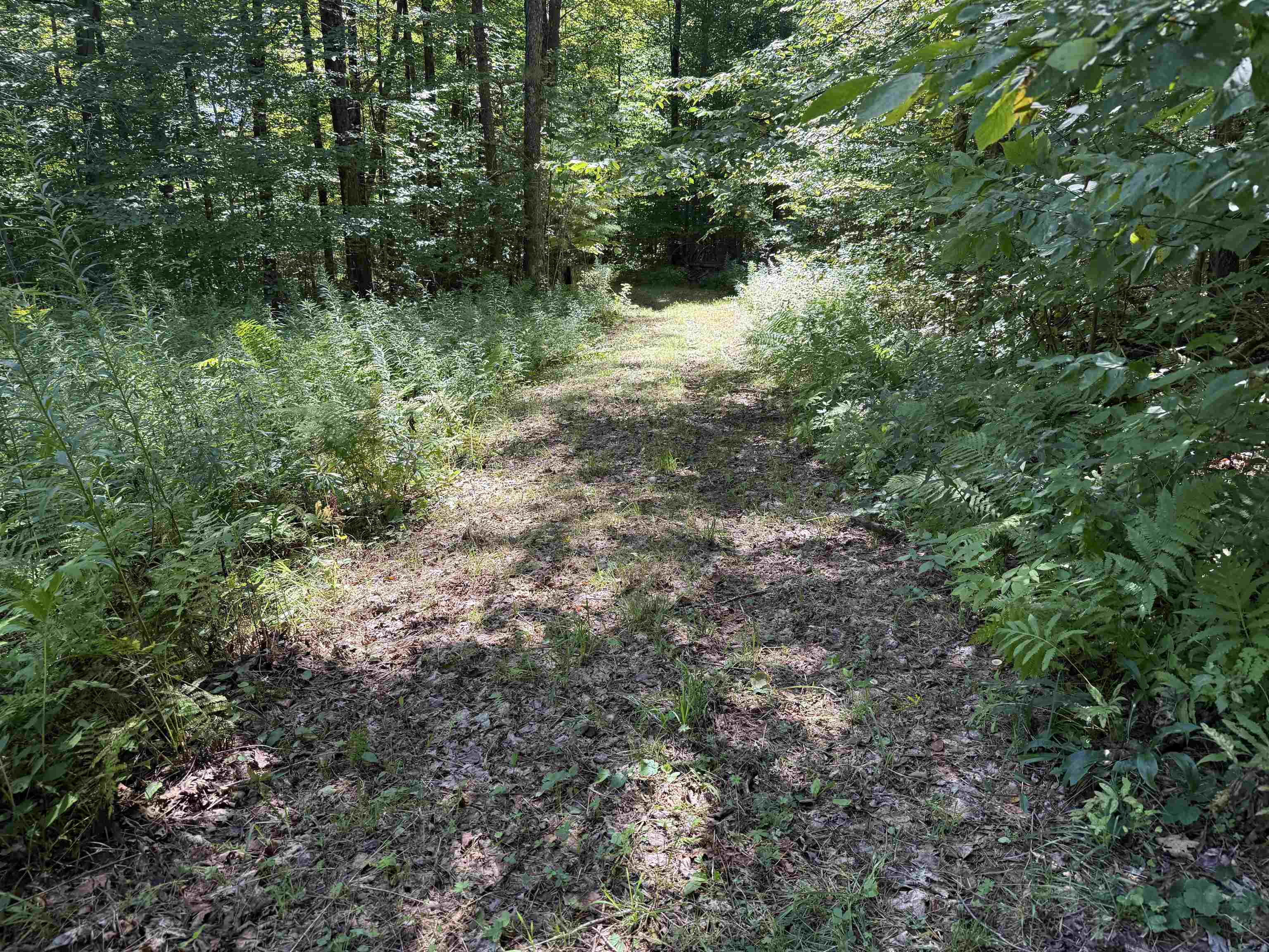 215-221 Highway 30 Dorset, VT 05251 - Photo 48 of 51