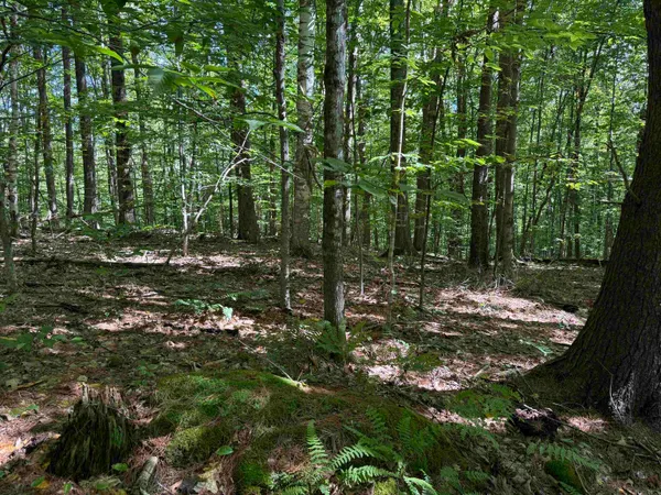 $1,750,000 | 215-221 Highway 30, Dorset, VT 05251