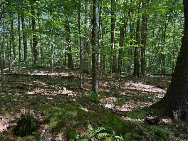 $1,750,000 | 215-221 Highway 30, Dorset, VT 05251