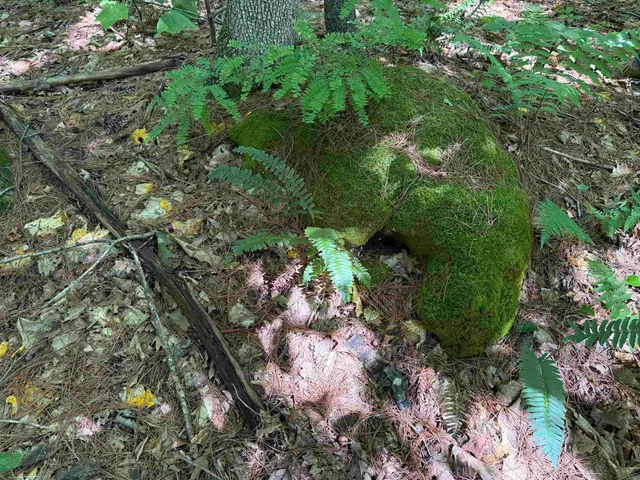 $1,750,000 | 215-221 Highway 30, Dorset, VT 05251