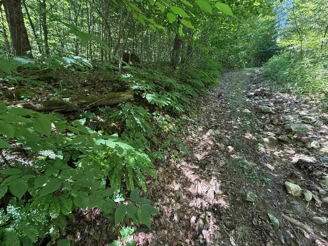 $2,300,000 | 215-221 Highway 30, Dorset, VT 05251