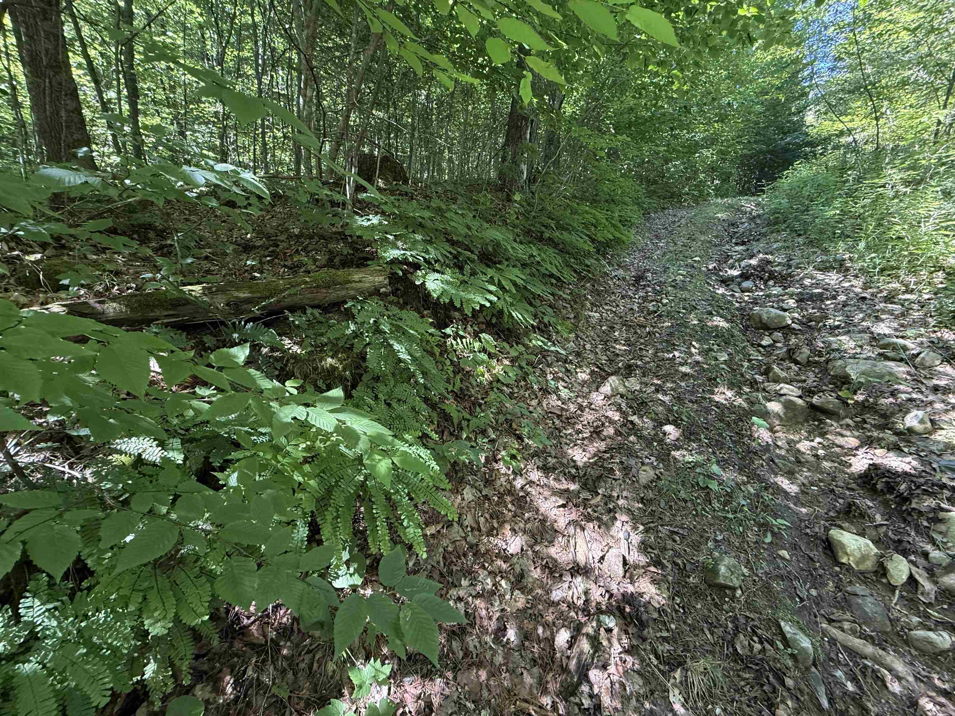 215-221 Highway 30 Dorset, VT 05251 - Photo 51 of 51