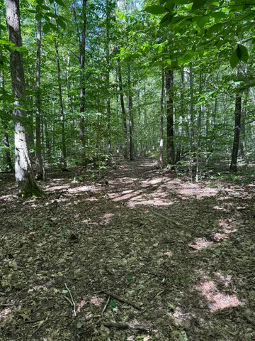 $1,750,000 | 215-221 Highway 30, Dorset, VT 05251