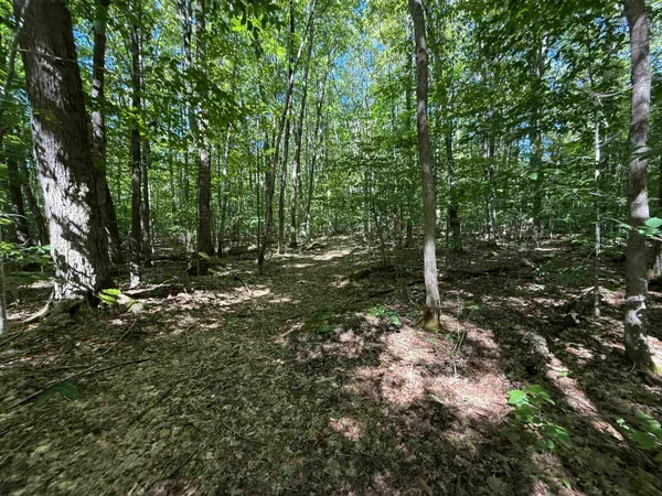 $1,750,000 | 215-221 Highway 30, Dorset, VT 05251