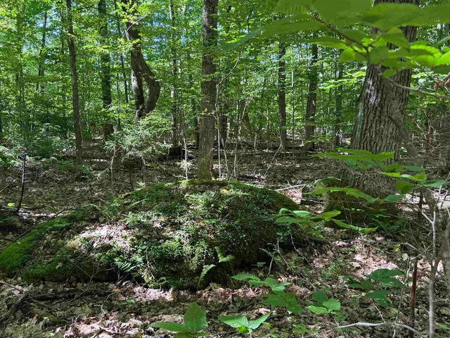 $1,750,000 | 215-221 Highway 30, Dorset, VT 05251