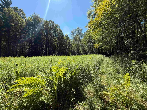 $1,750,000 | 215-221 Highway 30, Dorset, VT 05251