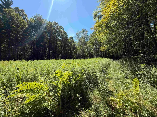 $1,750,000 | 215-221 Highway 30, Dorset, VT 05251