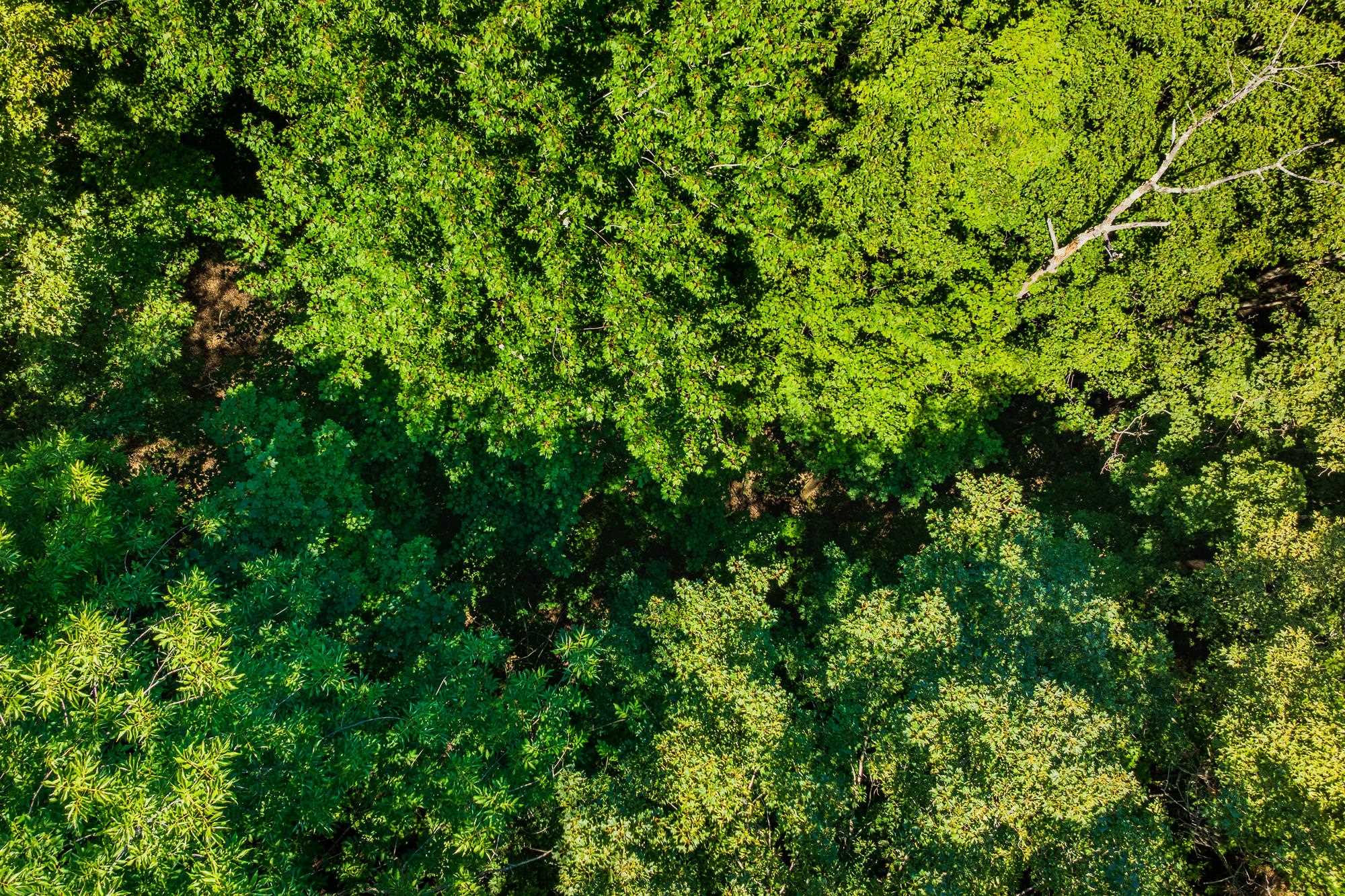 215-221 Highway 30 Dorset, VT 05251 - Photo 10 of 51