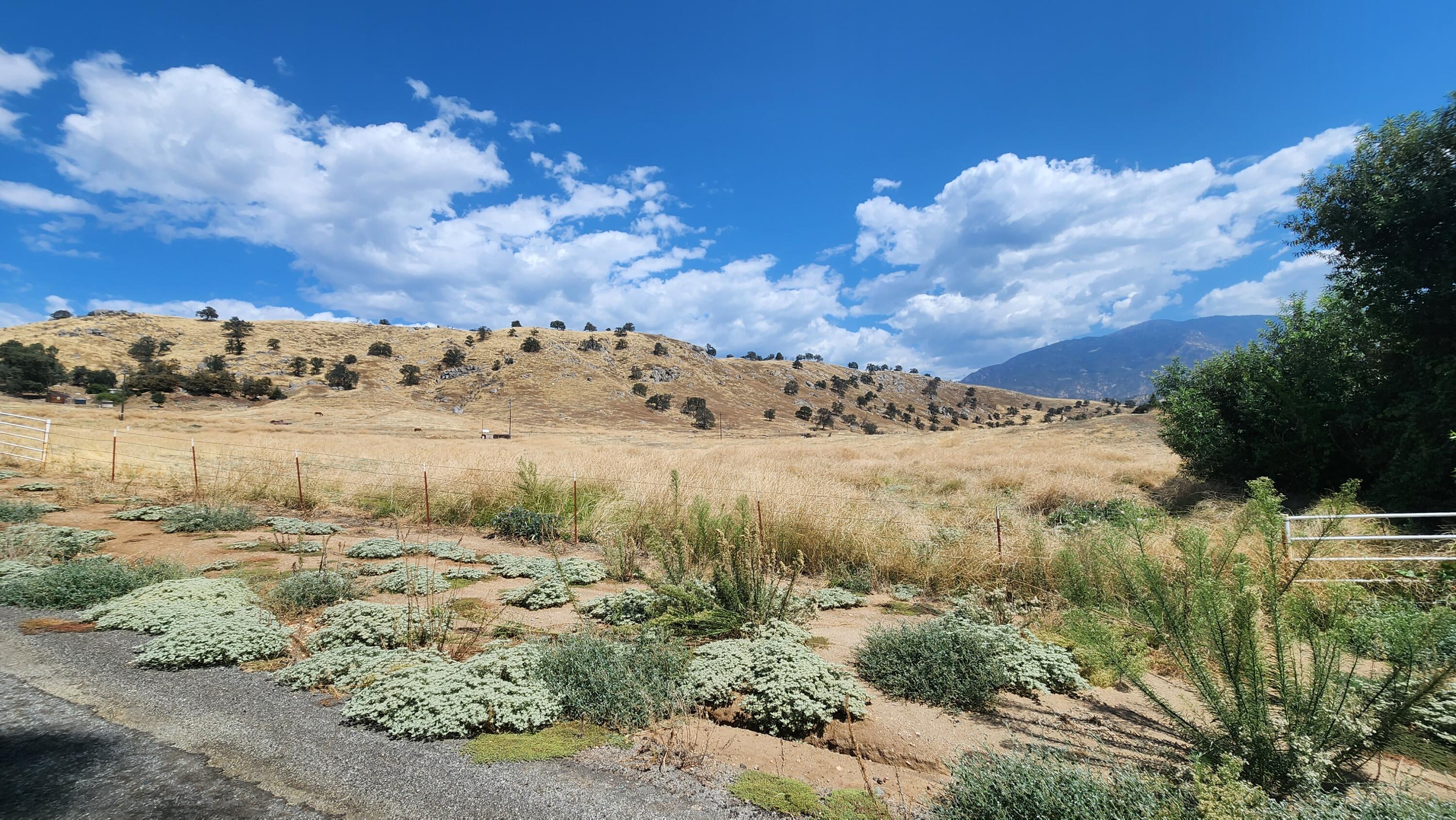 190 (7.55 Ac) Springville, CA 93265 - Photo 1 of 12 a view of a bunch of trees and houses