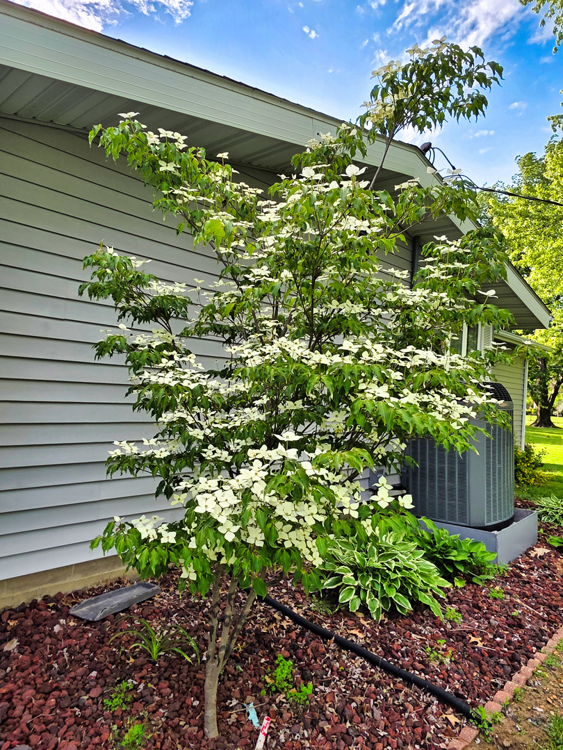 29 Stone Forge Pike Flora, IL 62839 - Photo 19 of 99