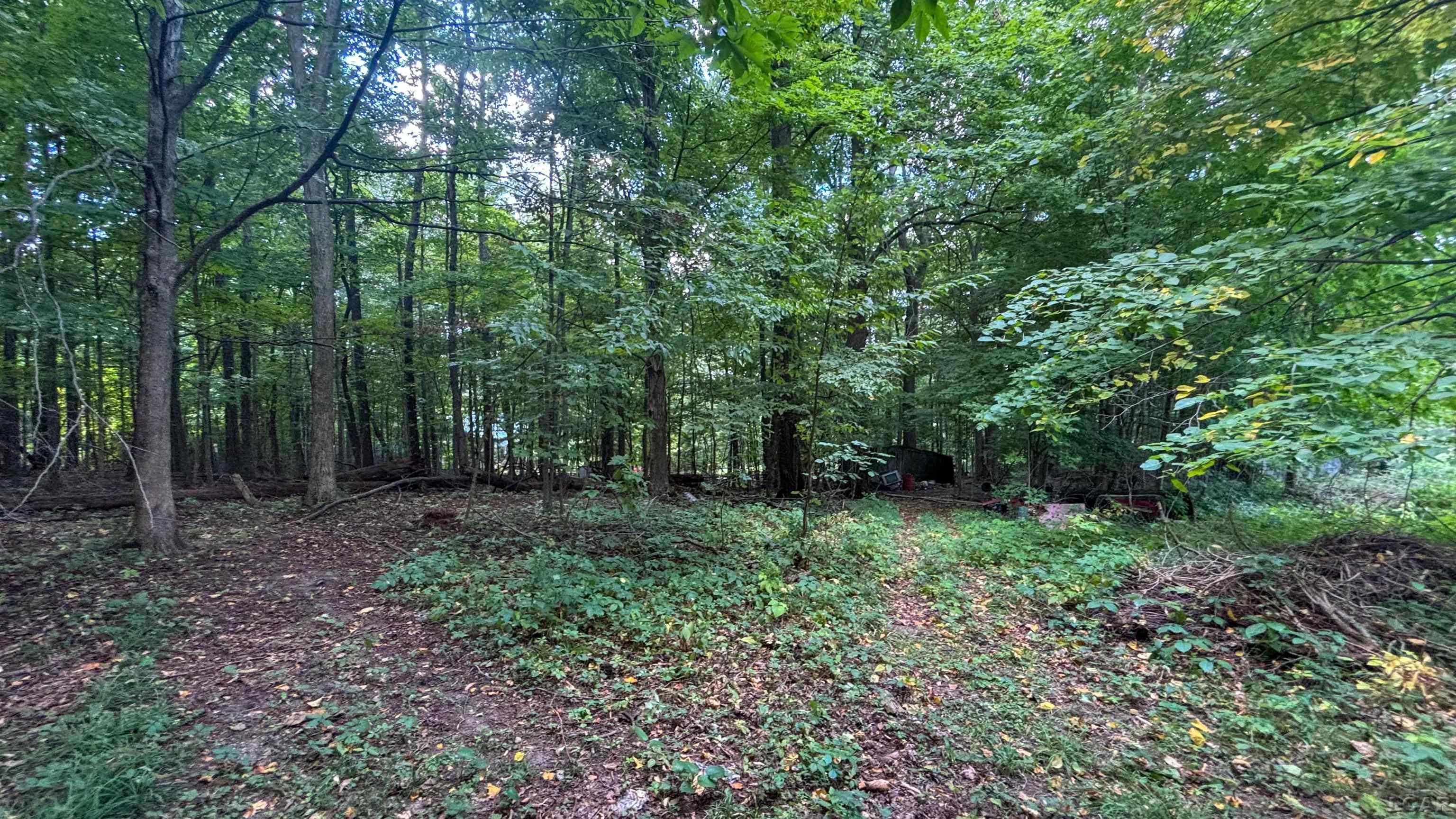 15265 Rome Road Manitou Beach, MI 49253 - Photo 20 of 23 50216810-7c80f331-5997-40fd-a72a-a7f064d061e8.JPG