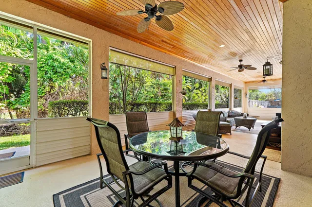a view of a garden with a tree in the background