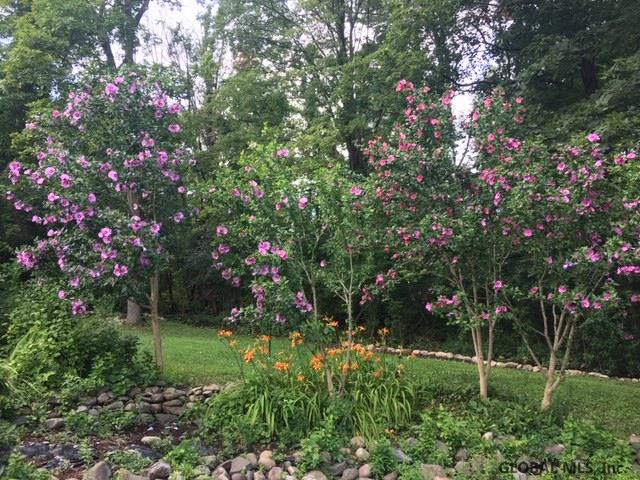 305 Old Quarry Road Bethlehem, NY 12067 - Photo 36 of 39 Photo 36