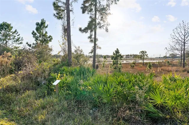 $999,999 | 16975 Wingspread Loop, Winter Garden, FL 34787