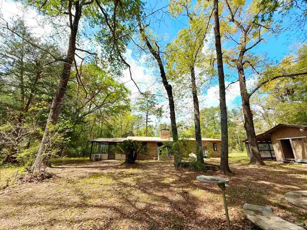 a view of a backyard with trees