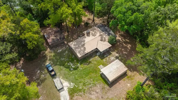 a picture of a tree in a yard