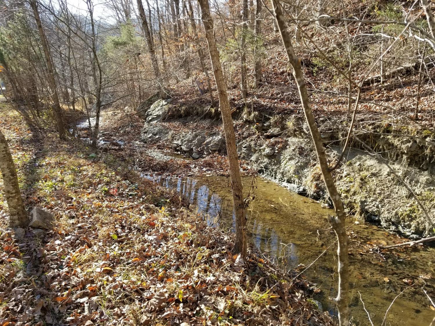 1670 Pointer Creek Road Science Hill, KY 42553 - Photo 28 of 41 28097_24