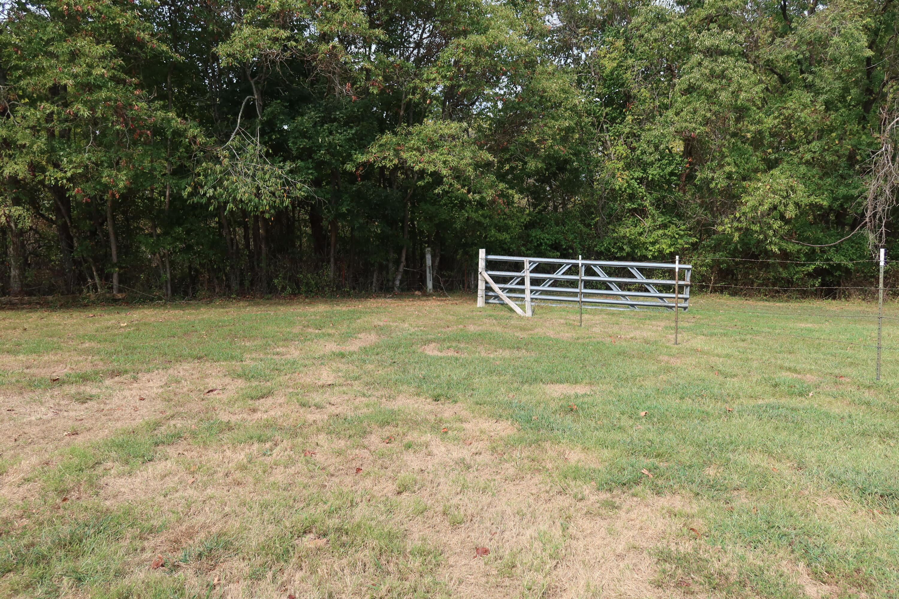 1305 Prairie Ridge Road Ozark, MO 65721 - Photo 27 of 29 IMG_1057