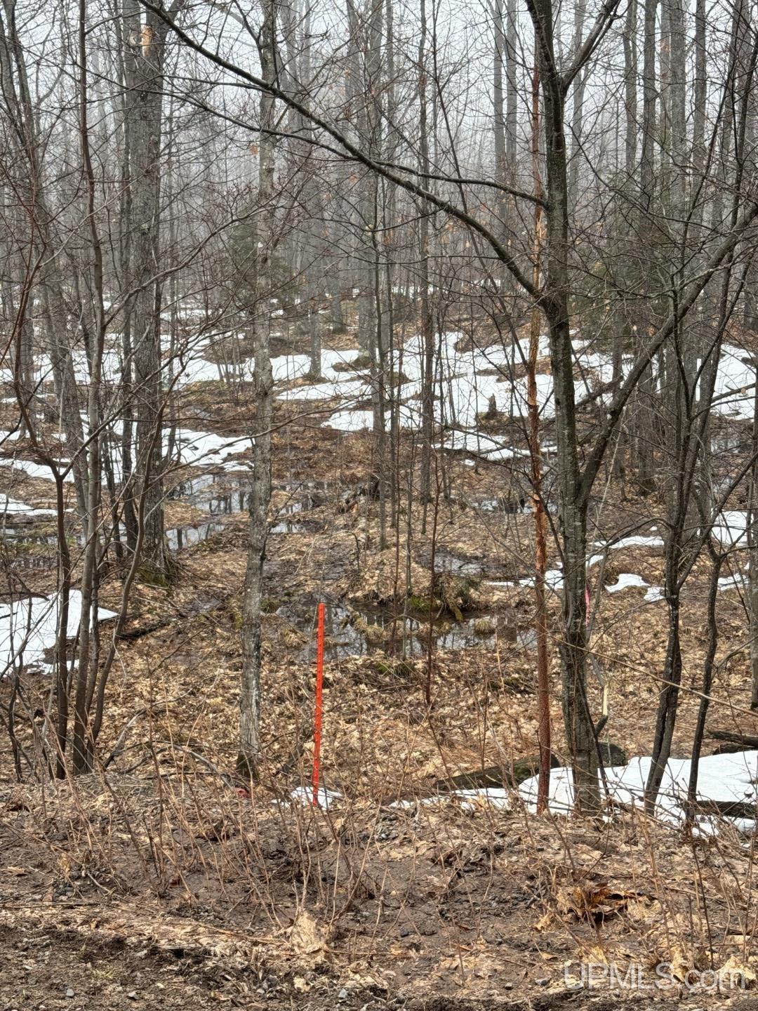 280-acres Off Pikes Peak Road Lanse, MI 49946 - Photo 4 of 21