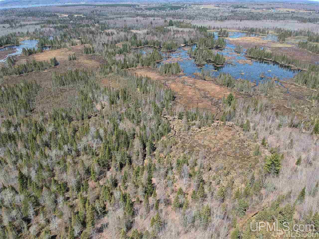Tbd Mud Lake Road Lake Linden, MI 49945 - Photo 7 of 18