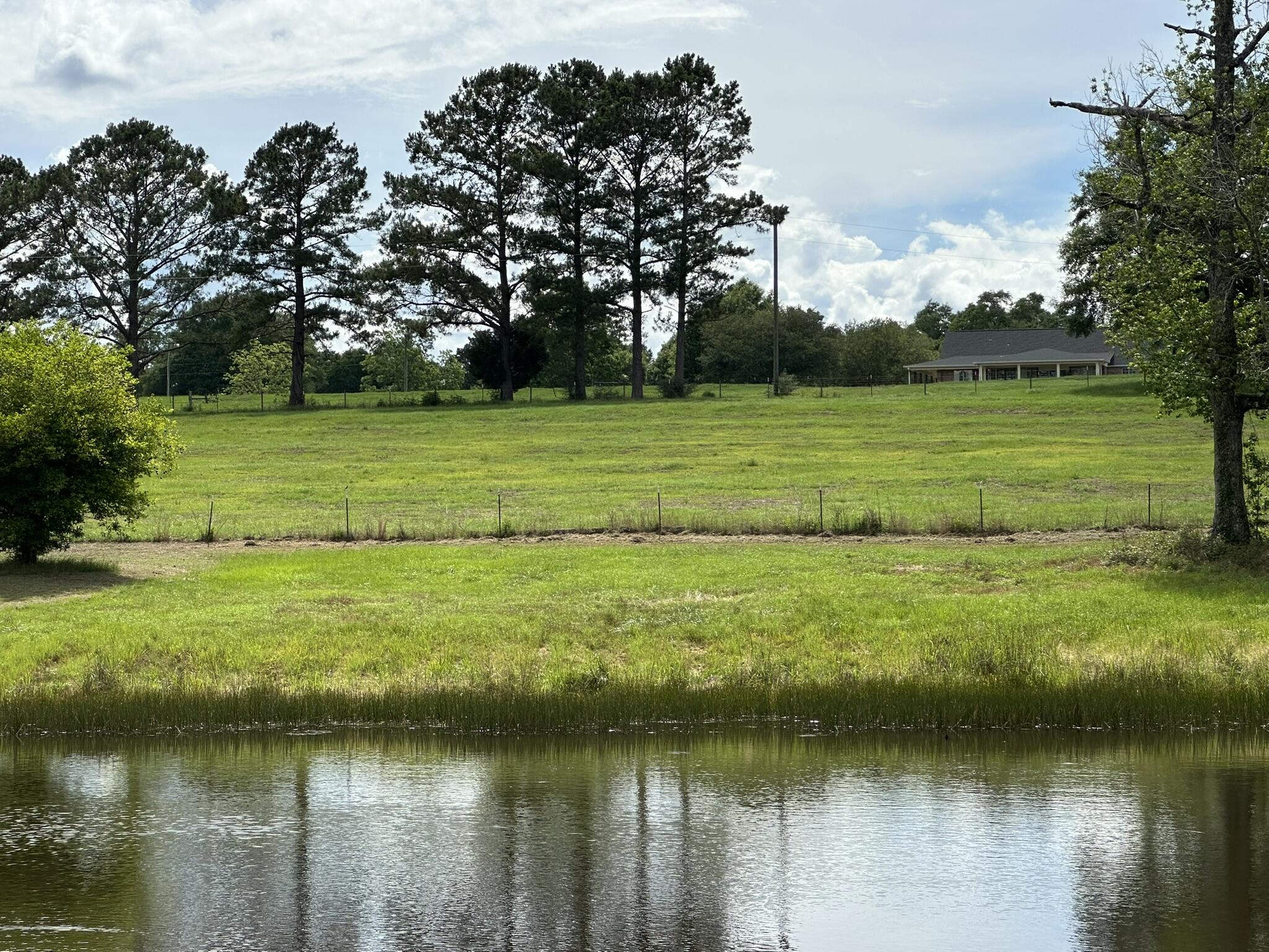 20 / New Ebenezer Road Florala, AL 36442 - Photo 2 of 46 IMG_0009