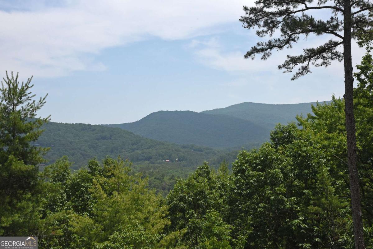 73 Rosiey Lane Blue Ridge, GA 30513 - Photo 17 of 51