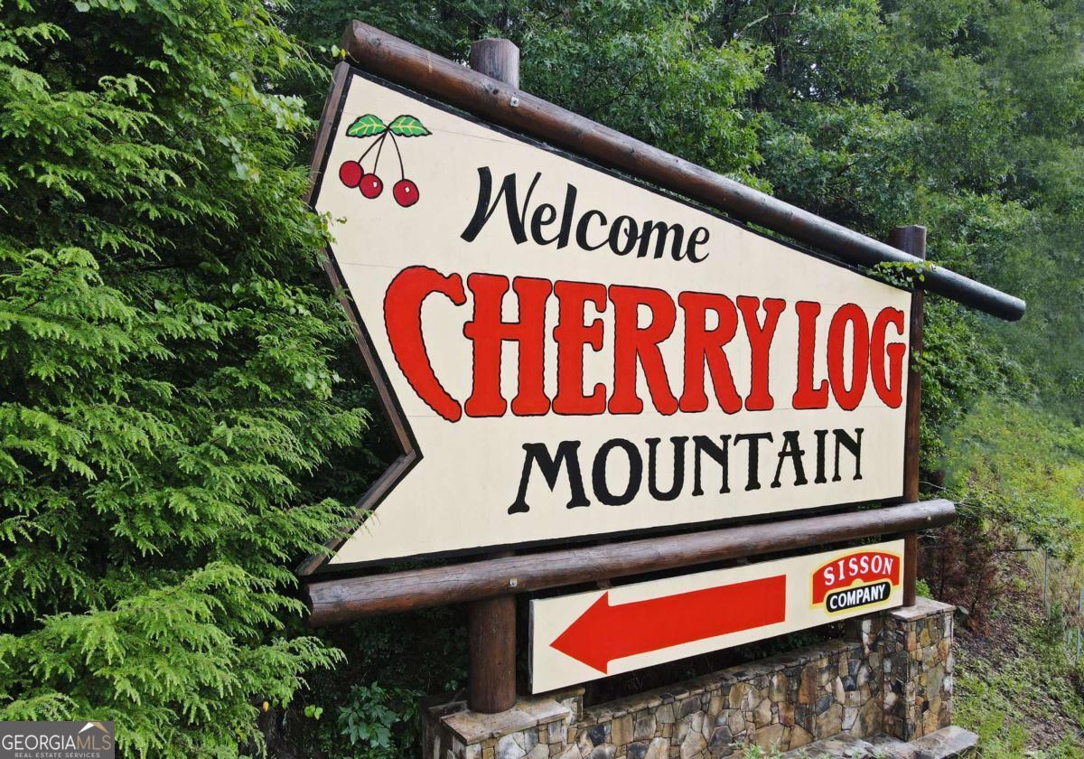 73 Rosiey Lane Blue Ridge, GA 30513 - Photo 49 of 51