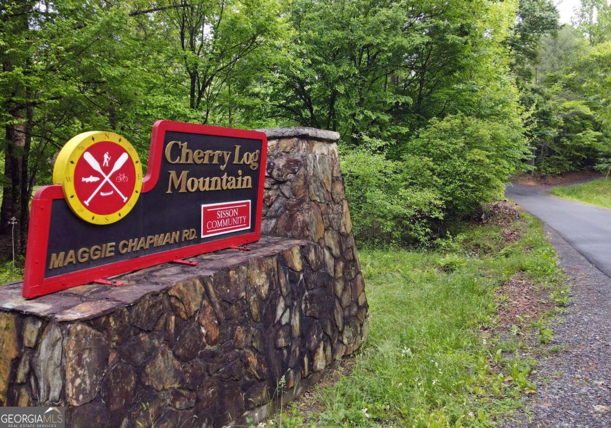 73 Rosiey Lane Blue Ridge, GA 30513 - Photo 50 of 51