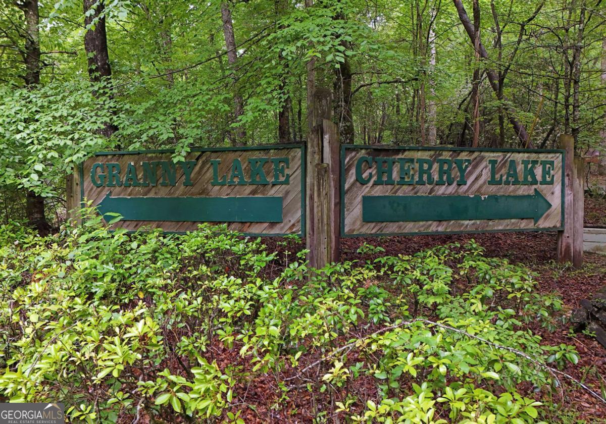 73 Rosiey Lane Blue Ridge, GA 30513 - Photo 51 of 51