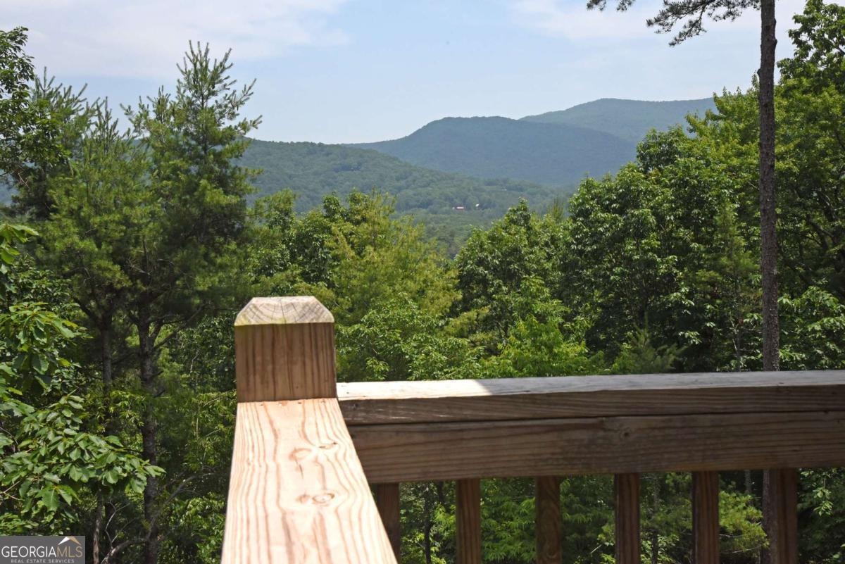 73 Rosiey Lane Blue Ridge, GA 30513 - Photo 6 of 51