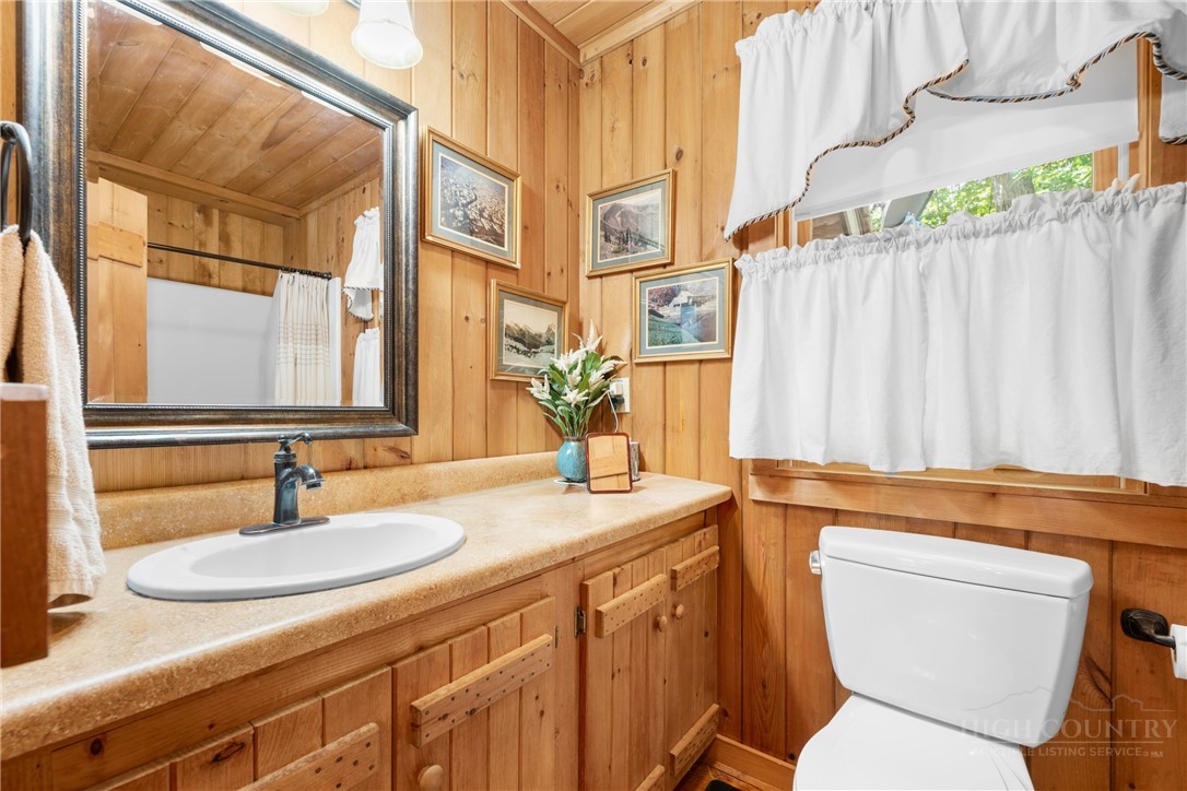 2177 Homestead Road Todd, NC 28684 - Photo 22 of 49 a bathroom with a sink and a toilet