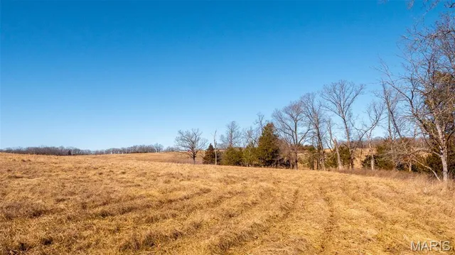 $117,359 | 0 Mo-19 (10.67 Ac), Owensville, MO 65066