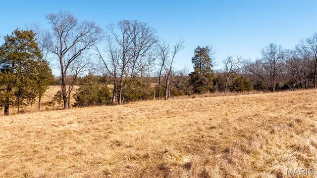 $117,359 | 0 Mo-19 (10.67 Ac), Owensville, MO 65066