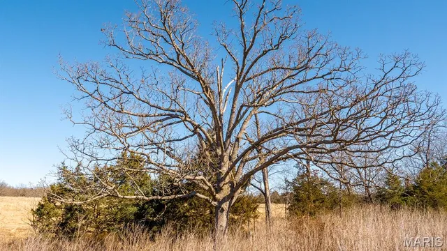 $117,359 | 0 Mo-19 (10.67 Ac), Owensville, MO 65066