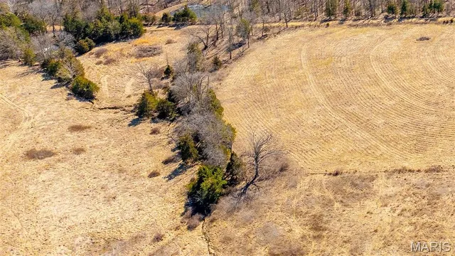 $117,359 | 0 Mo-19 (10.67 Ac), Owensville, MO 65066