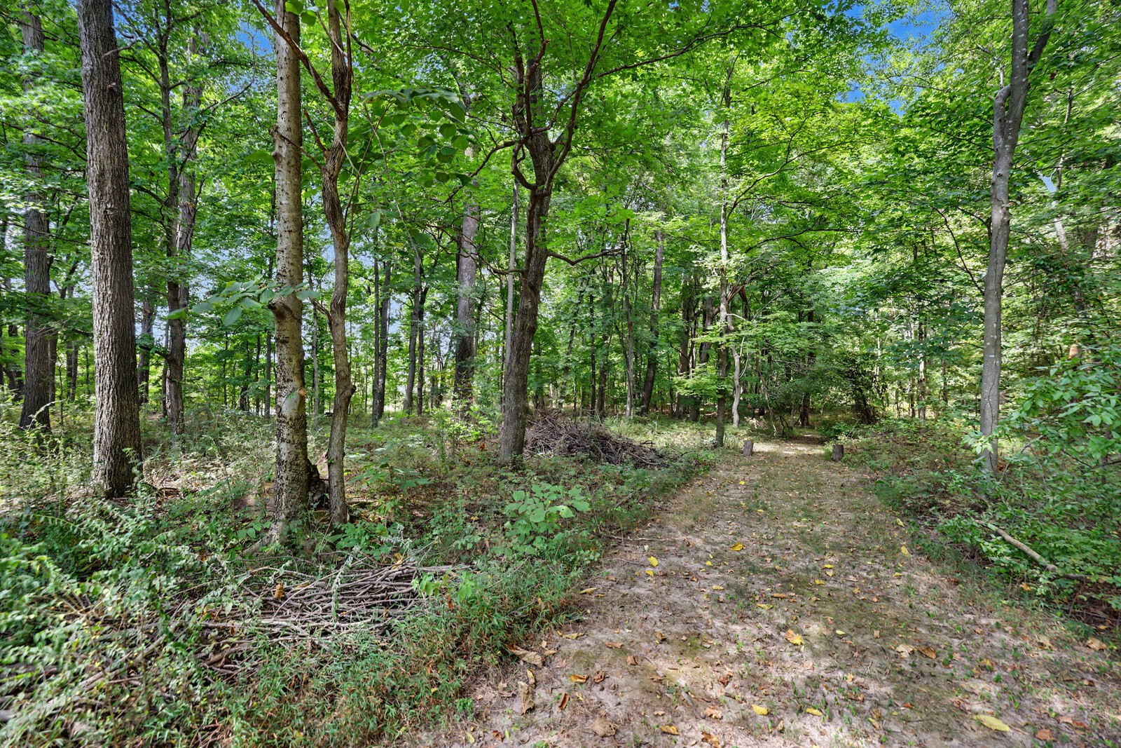 1000 Charlie Reed Road Chapmansboro, TN 37035 - Photo 57 of 77 Gallery Image 57