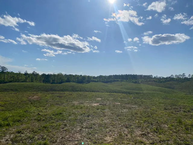a view of a lake in middle of the town