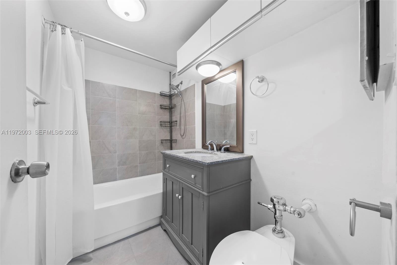 3301 Northeast 5th Avenue, Unit 1010 Miami, FL 33137 - Photo 11 of 25