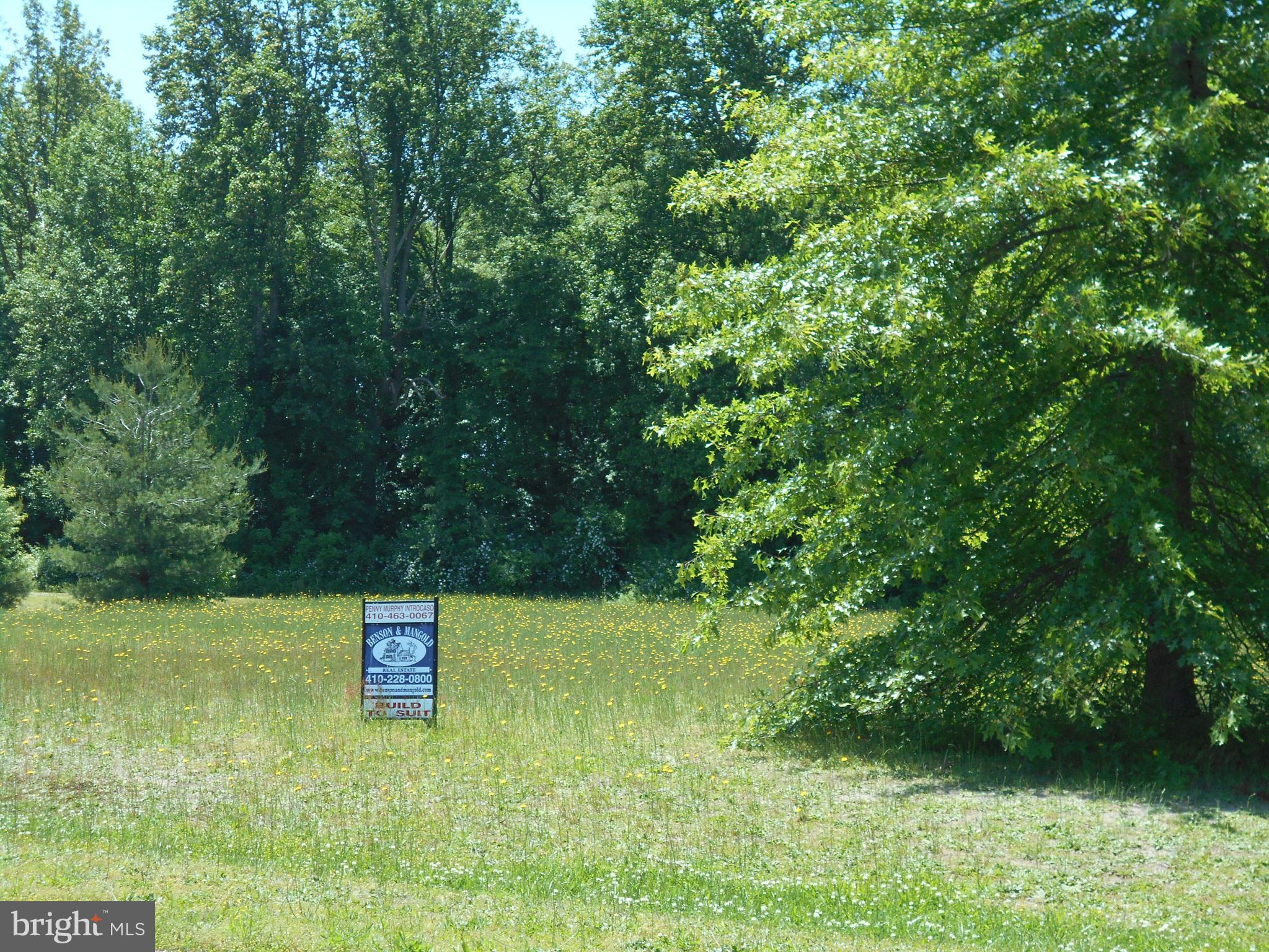 Solomons Circle Hurlock, MD 21643 - Photo 2 of 2