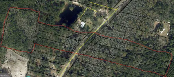 $975,000 | 0 Youngman Road, Townsend, GA 31331